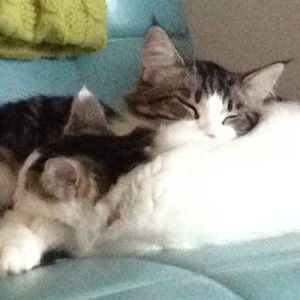 Meet your Posher, Ula